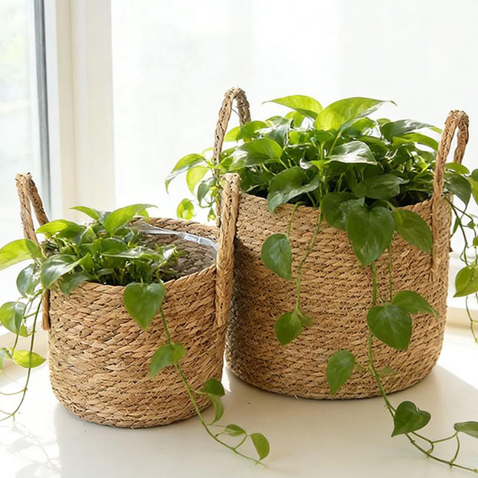 Rattan Plant Basket - سلة زرع من القش والخيزران، أصيص