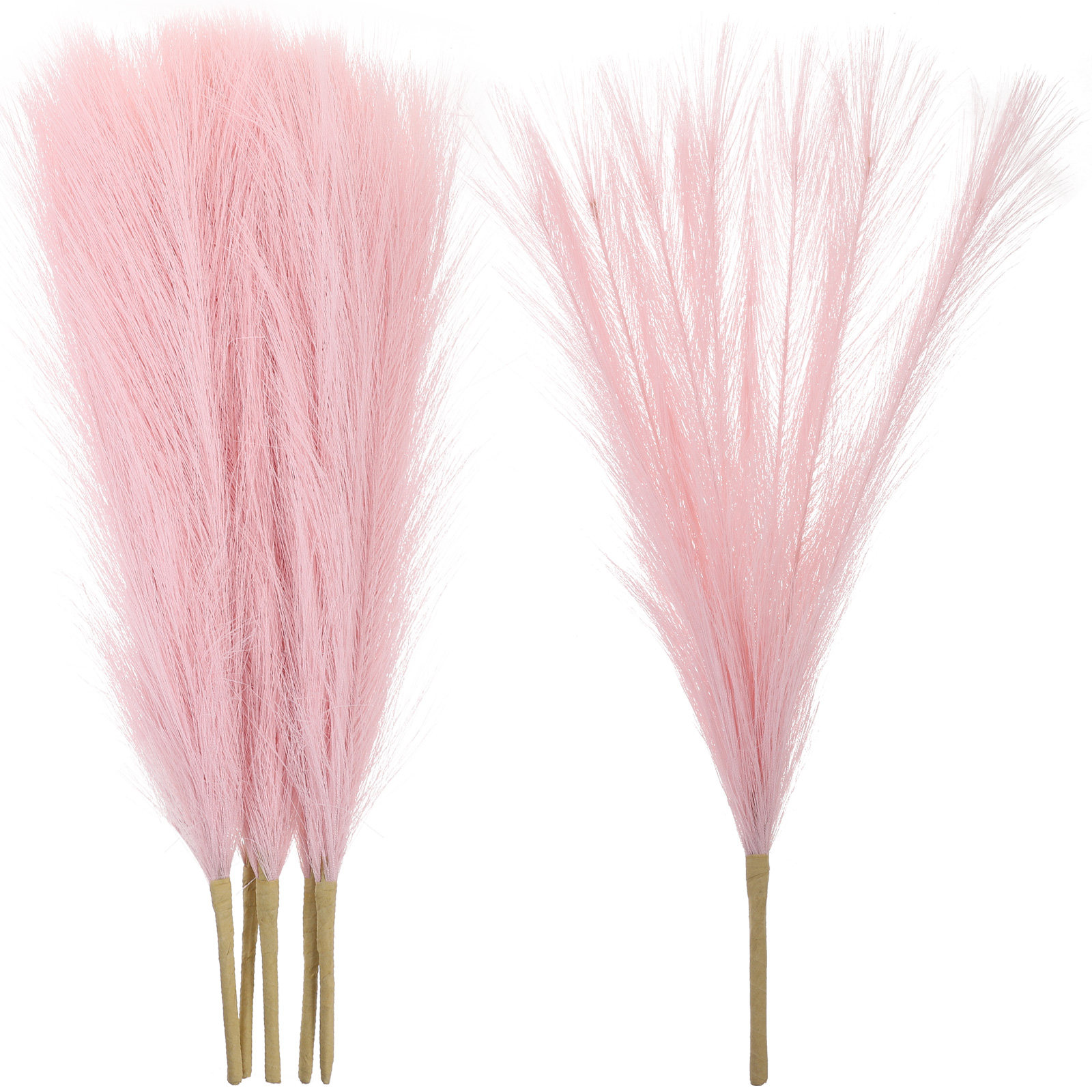 6 سيقان من عشب البامباس الصناع - مراجعة Pampas Grass Decor وسعره