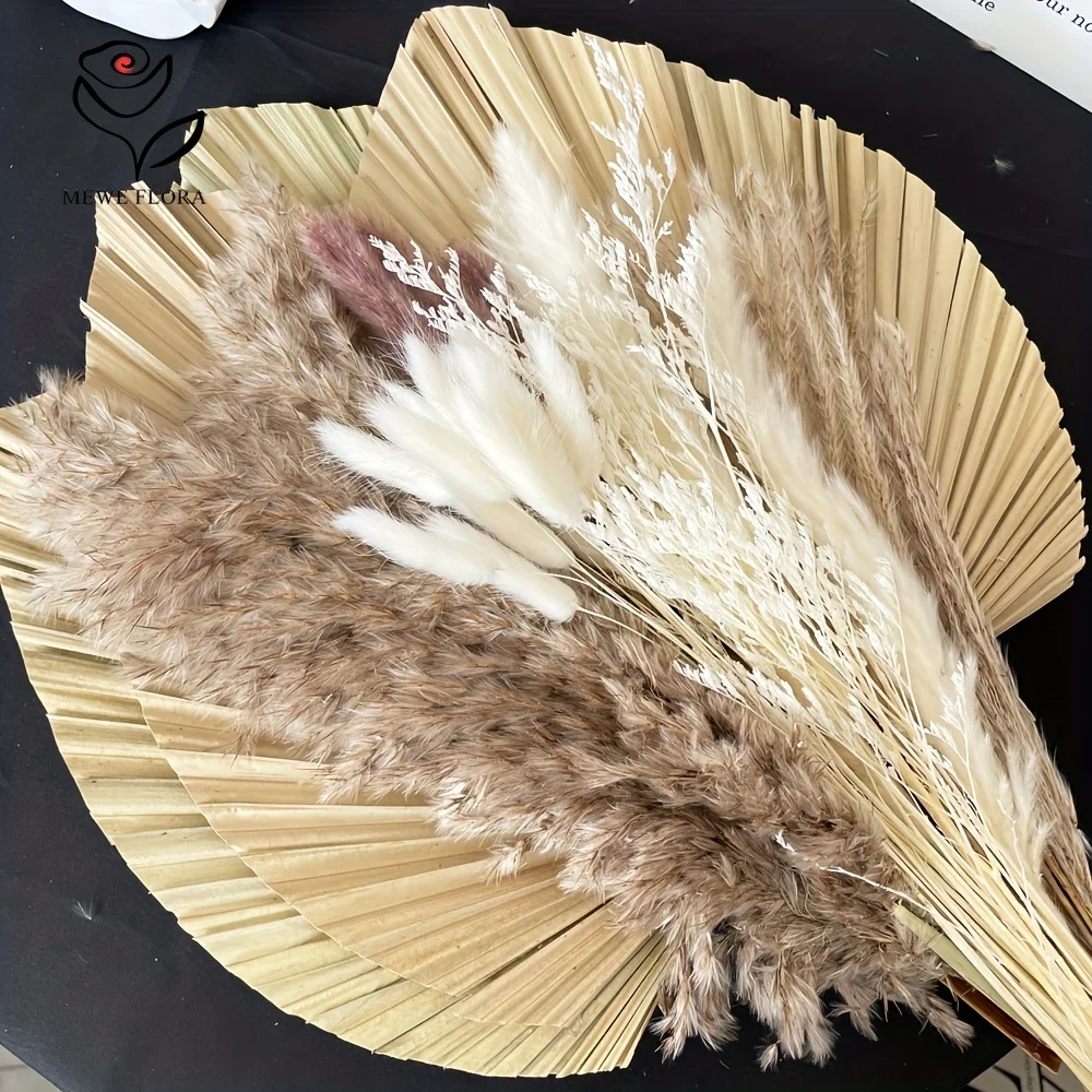 35 قطعة عشب بامباس الطبيعي بوه - مراجعة Pampas Grass Decor وسعره