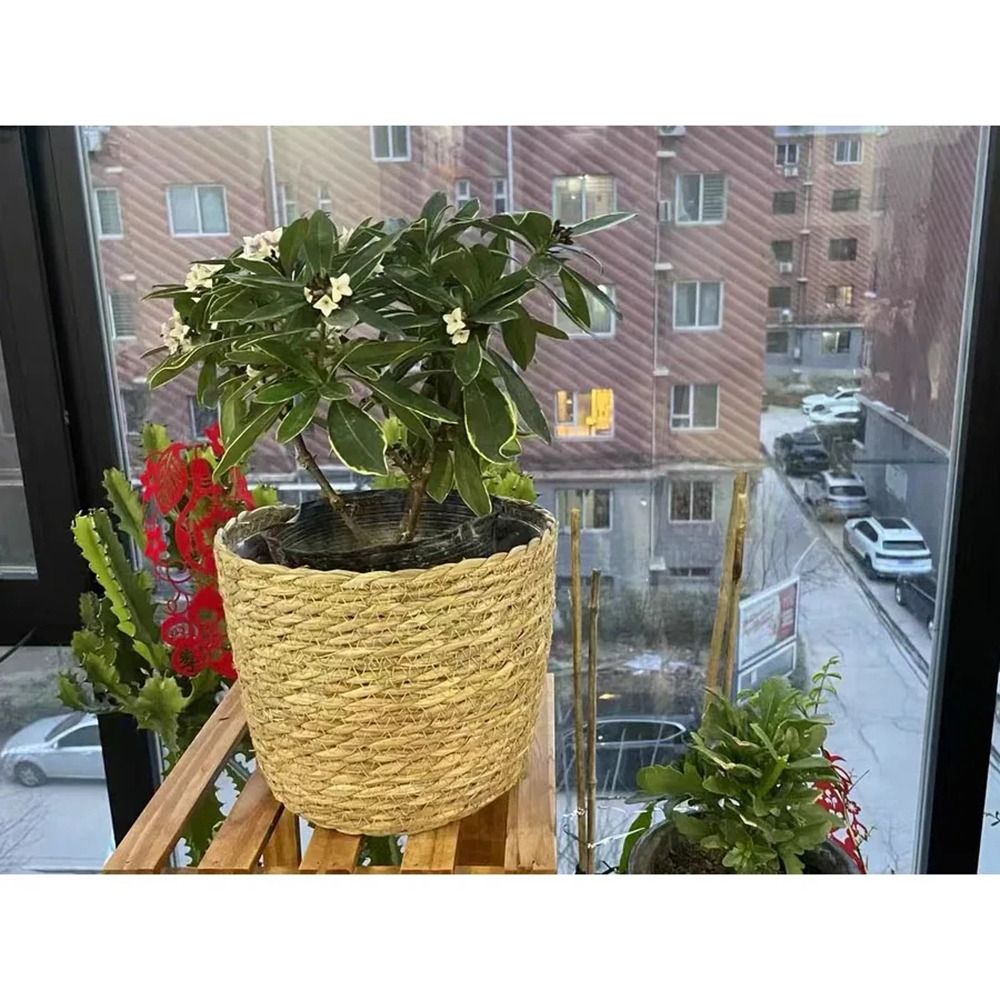 1 قطعة لحديقة الشرفات اناء للز - مراجعة Rattan Plant Basket وسعره